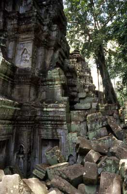 Ta Prohm　―タ・プローム　(カンボジア)_f0184282_2204752.jpg