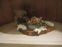 c0078592_1011260.gif