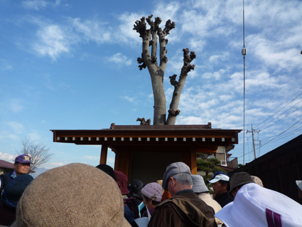 山梨県のはとバスになる宣言・・・_c0018195_043645.jpg