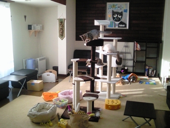c0181601_2335341.jpg