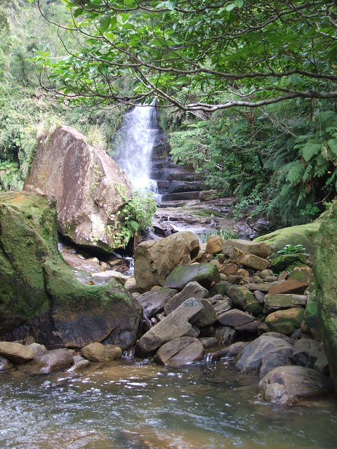 e0084001_19563650.jpg