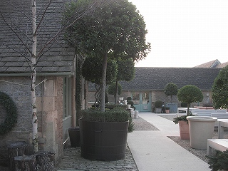 d0135505_17343341.jpg