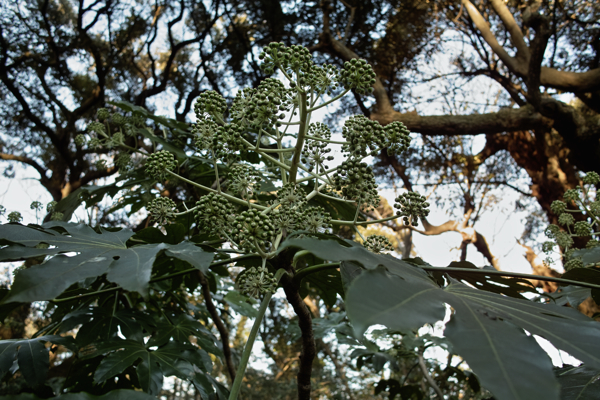 b0137311_20525099.jpg