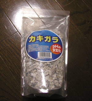 a0043512_23123391.jpg