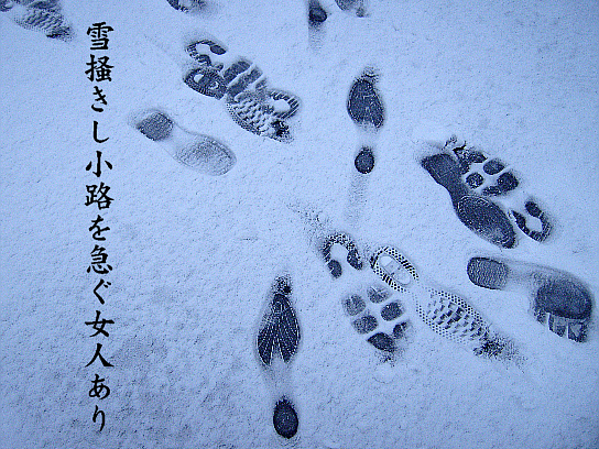 雪の足跡 写真俳句 一日一写句 雪の足跡 写真俳句 一日一写句