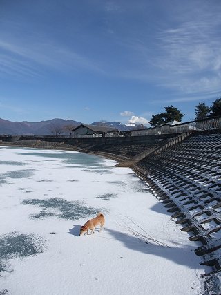 1/8　蕎麦ツアー_d0143214_21341536.jpg