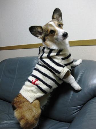 クリスマスプレゼント~♪_f0155118_1271415.jpg