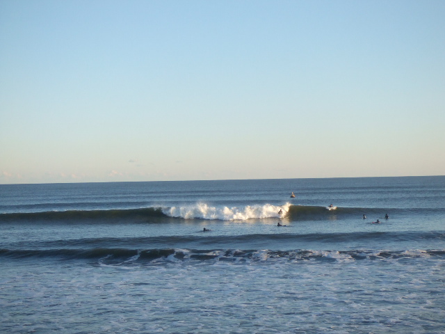 2009　初　ラングラーで　林道＆海　へ　お出かけ　パート1_b0123820_113244.jpg