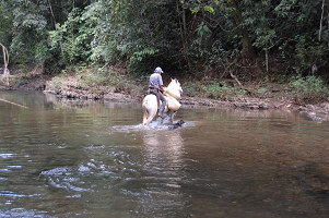 d0106737_2345957.jpg