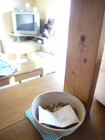 食べなければ良いのに。降りれば良いのに。_e0058443_0121571.jpg