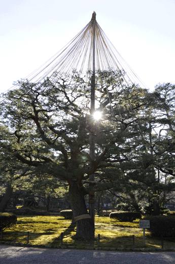 兼六園,09.1(Ⅱ)_c0093046_7425076.gif