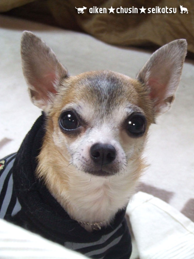 c0019050_1463784.jpg