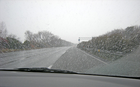 1月9日 前橋初市2009_a0001354_2126861.jpg