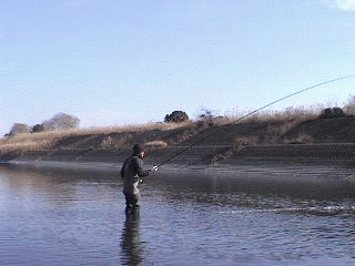 f0084561_17253893.gif