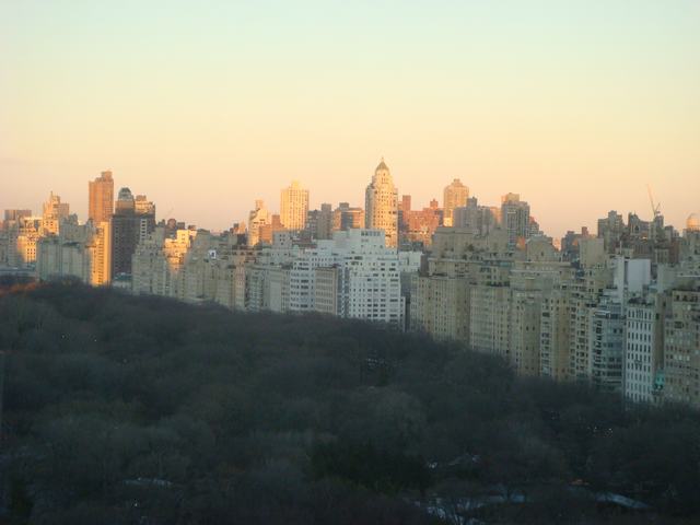 d0100880_4415957.jpg