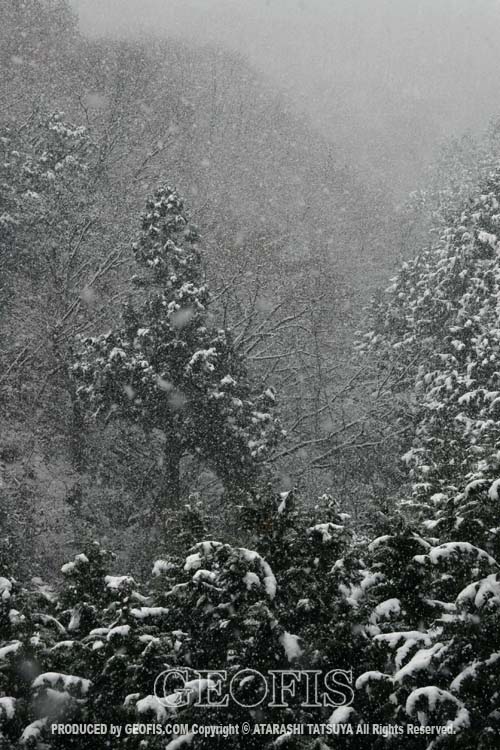 奥武蔵雪化粧・越辺川、都幾川源流部_b0007284_20391325.jpg