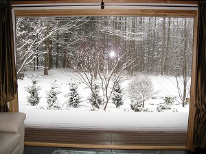 雪_d0133485_13294784.jpg