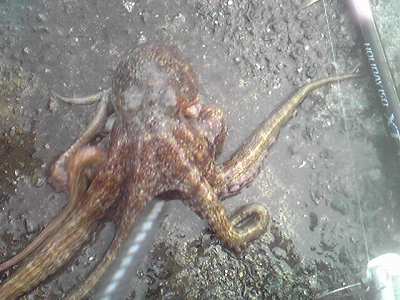 e0060585_07769.jpg