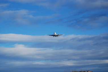 飲茶と飛行機と青い空 「TOP GUN」_d0129786_14521444.jpg