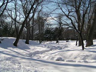 f0078286_10414082.jpg