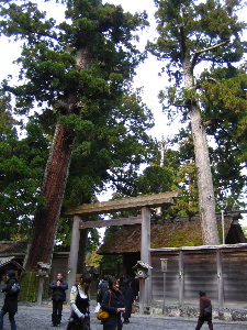 f0129390_1471419.jpg