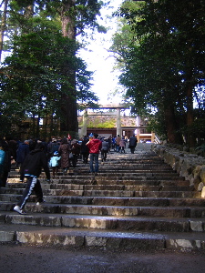 f0129390_214716.jpg