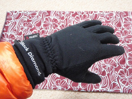 patagonia Micropuff Mitts　また増えてしまった・・・・・^_^;_c0147398_237423.jpg