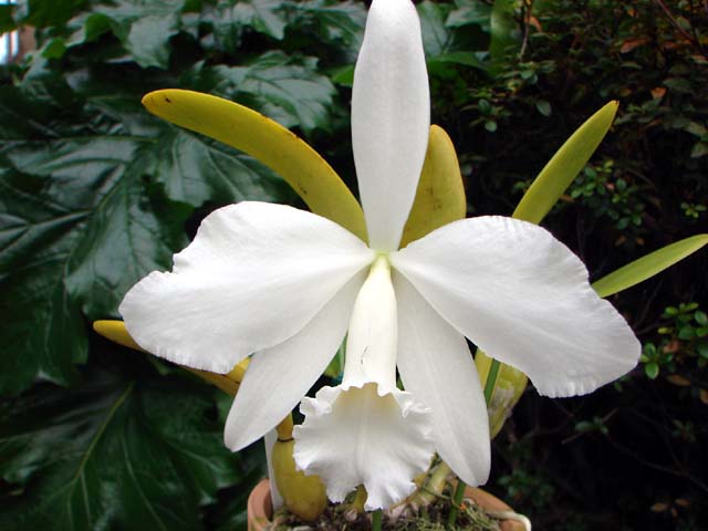 d0007501_6555487.jpg