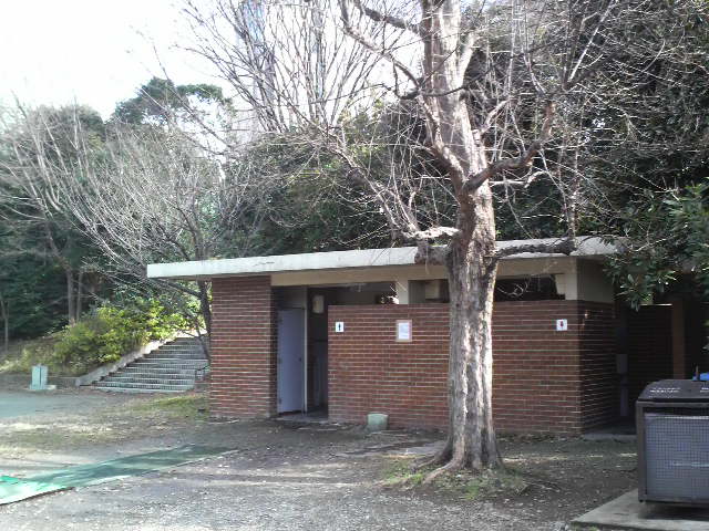 a0000002_11423896.jpg