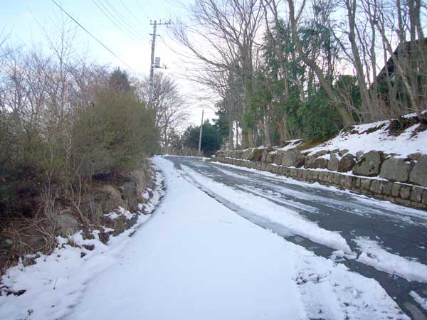 早雲郷別荘地の初雪_a0071805_182321.jpg