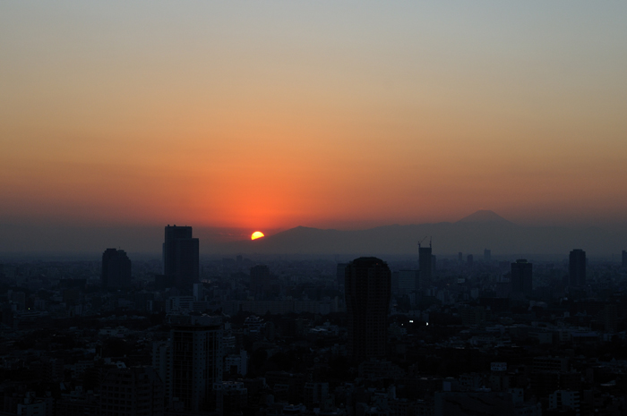 東京タワー　～夜景_e0101209_20483189.jpg