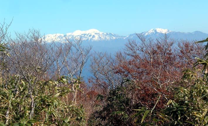 c0078410_6502672.jpg