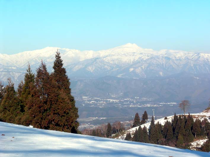 c0078410_6572657.jpg
