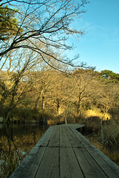 b0137311_00235.jpg