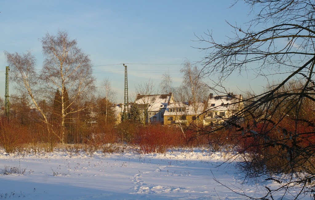 b0148617_1374130.jpg