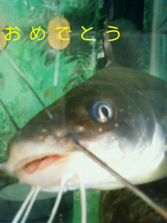 いちくん５歳になる_d0152937_1541076.jpg