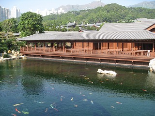 c0008439_221533.jpg