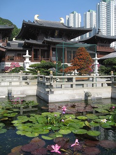 c0008439_22512665.jpg