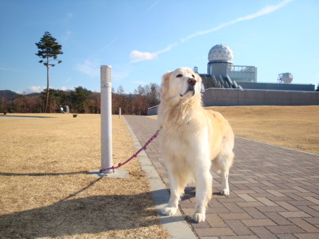 極寒ブー太キャンプ～☆その２☆_e0158841_11362848.jpg