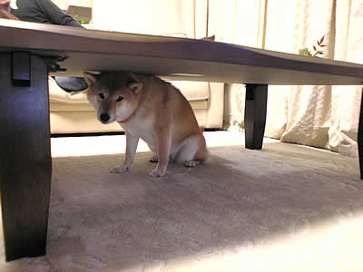 c0181543_09327.jpg