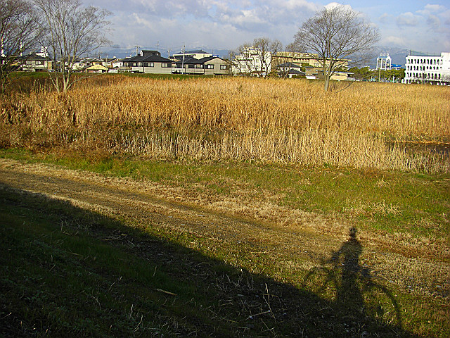 b0088444_22561555.jpg