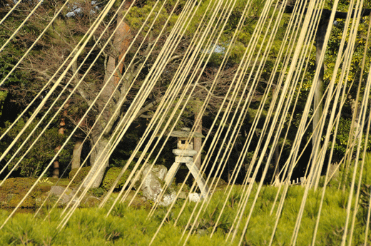 兼六園,09.1(Ⅲ)_c0093046_9533436.gif