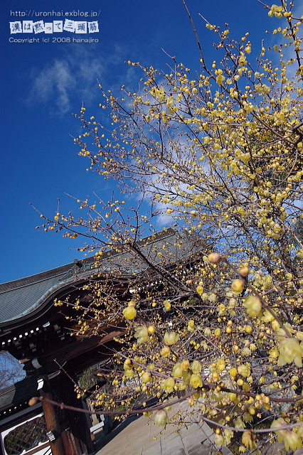 b0131947_14134516.jpg