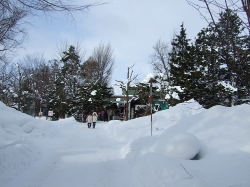e0122156_1646952.jpg