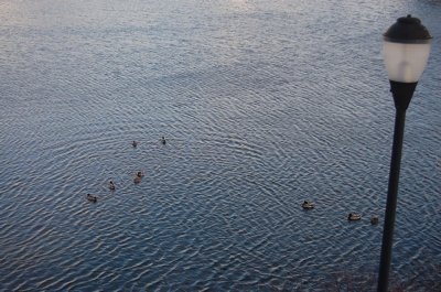 スタバとは思えない贅沢な眺め_f0088456_1215950.jpg