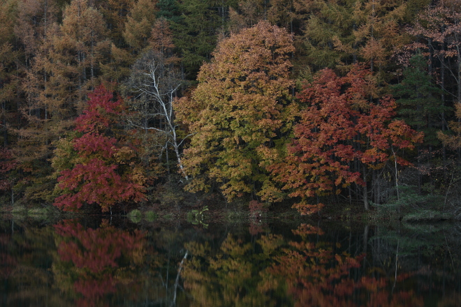 c0195157_14174270.jpg