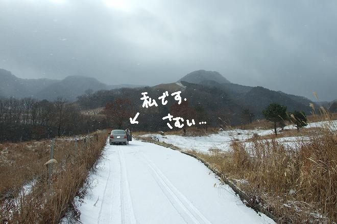 熊本の北海道？_b0123359_2121156.jpg