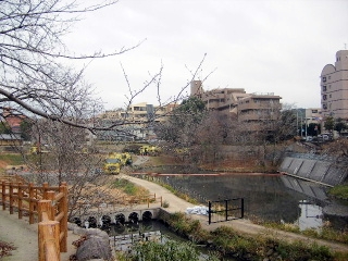 f0043559_20382432.jpg