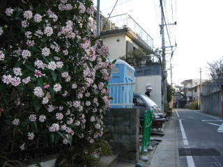 f0043559_20403172.jpg