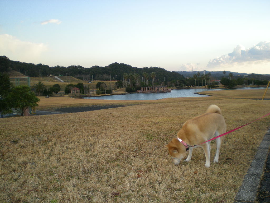 2009年1月10日(土)8時なのに虹!_f0060461_9343246.jpg